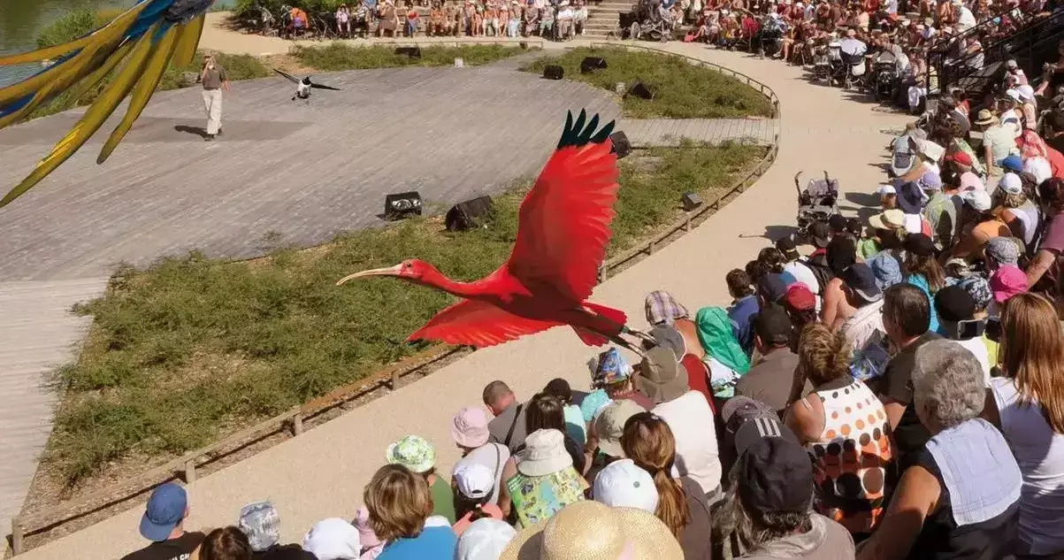 Animation Camping Le Nid Du Parc