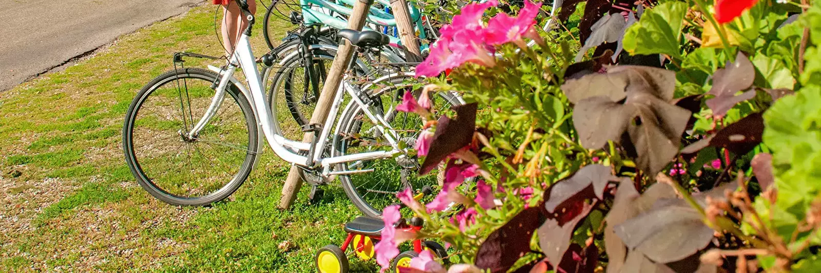 Bicycle rent Camping Le Parc de la Fecht - Tohapi