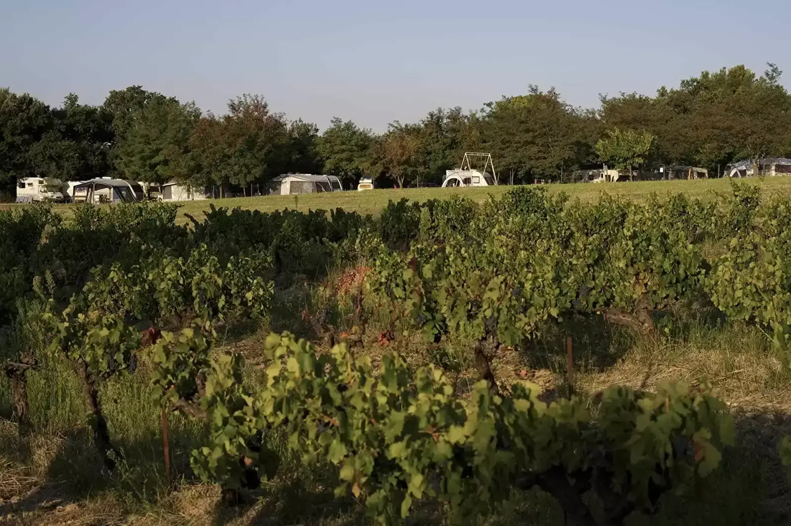 Panoramica Camping Le Pastory