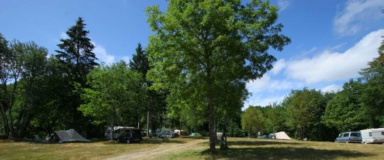 Au camping, s’ti qu’on est ben! homme chandail
