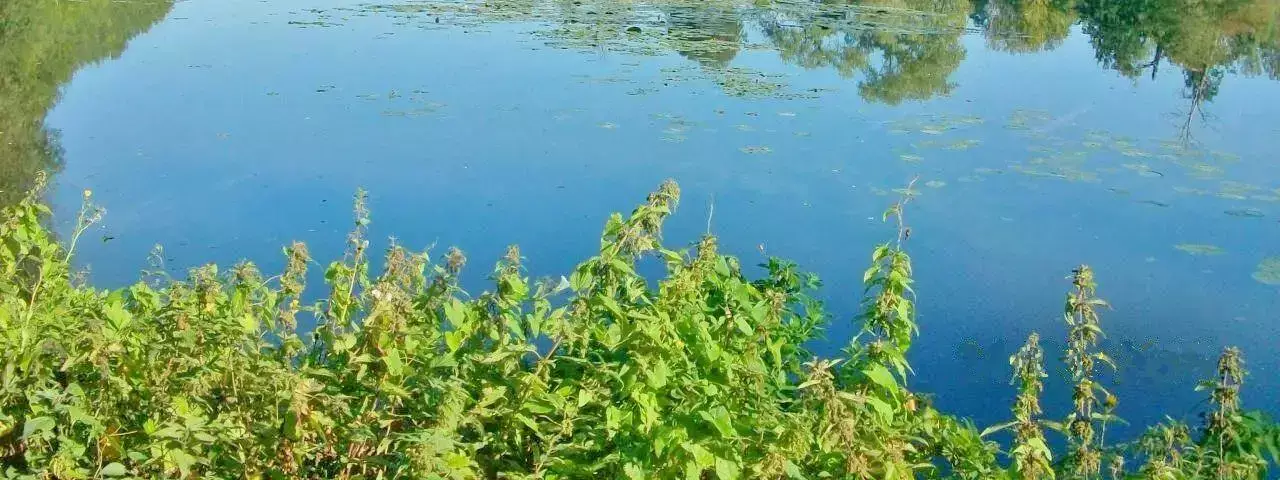 Obecné Camping Le Pont Rouge Et Les Vignes