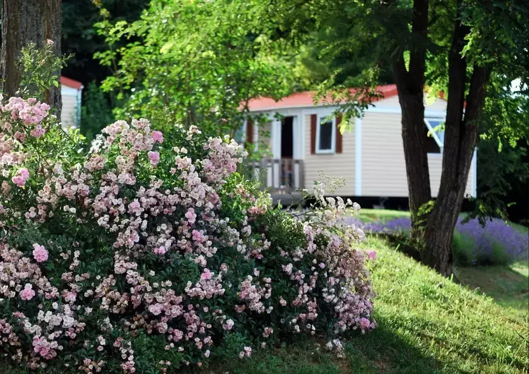 Chalet-Bungalow-Huisje Camping Le Temps De Vivre - Flower