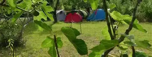 Tent Camping Le Verger