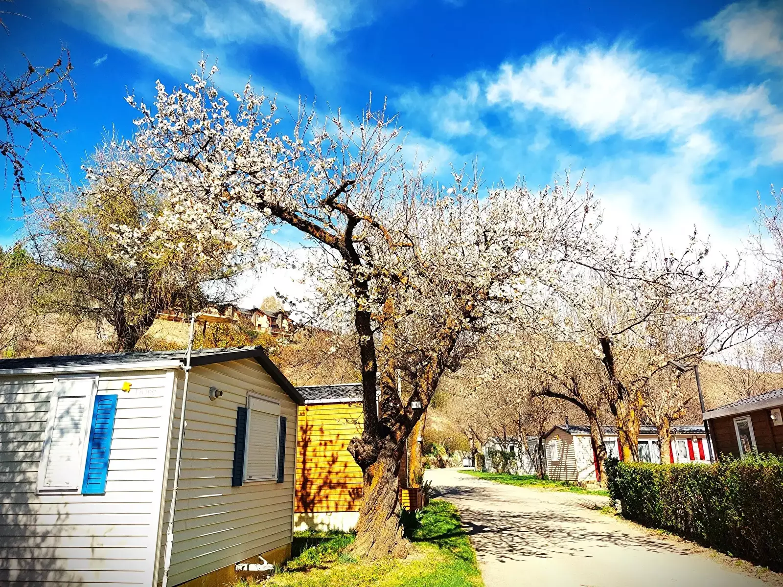Mobile home - Stacaravan Camping l'Enclave