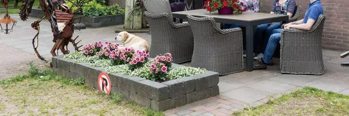 Receptie Camping Lentemaheerd
