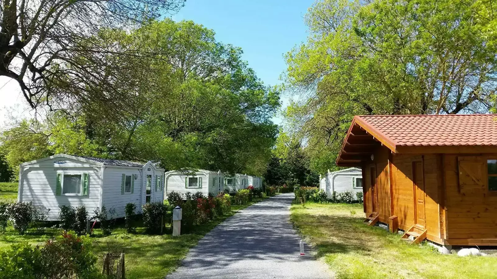 Chalet-Bungalow-Huisje Camping Les 2 Salamandres