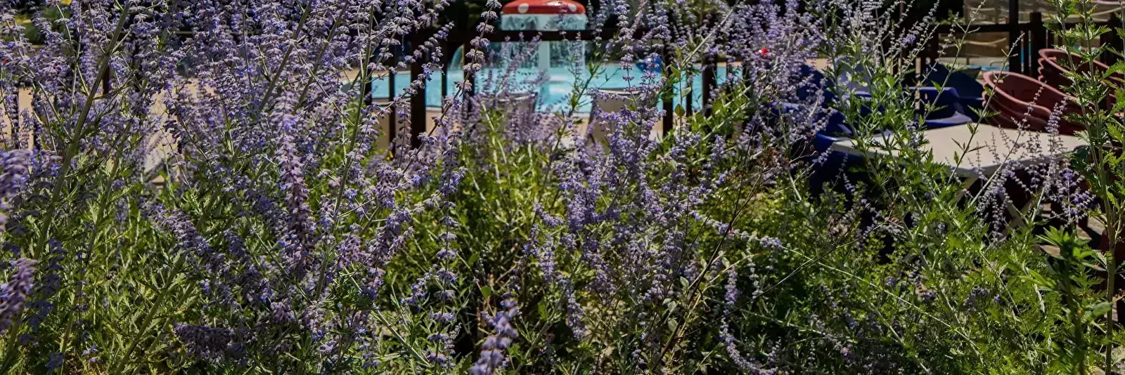 Piscina Camping Les 3 Lacs