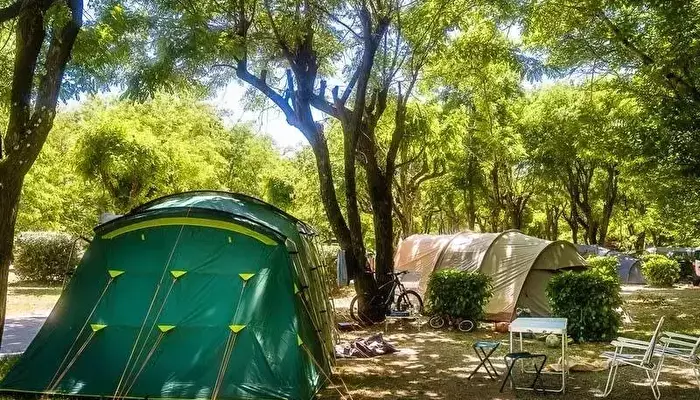 Camping Les Actinidias.