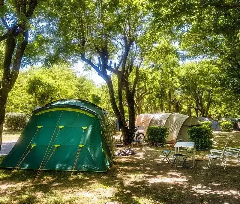 Staanplaats Camping Les Actinidias