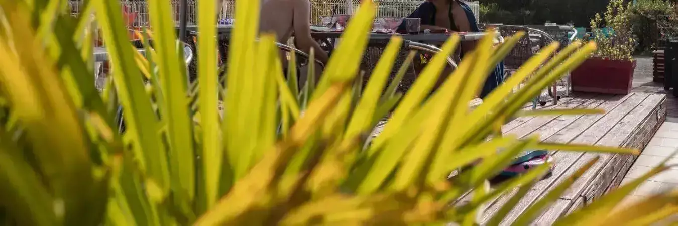 Cafe-Bar-Restaurant Camping Les Calquières