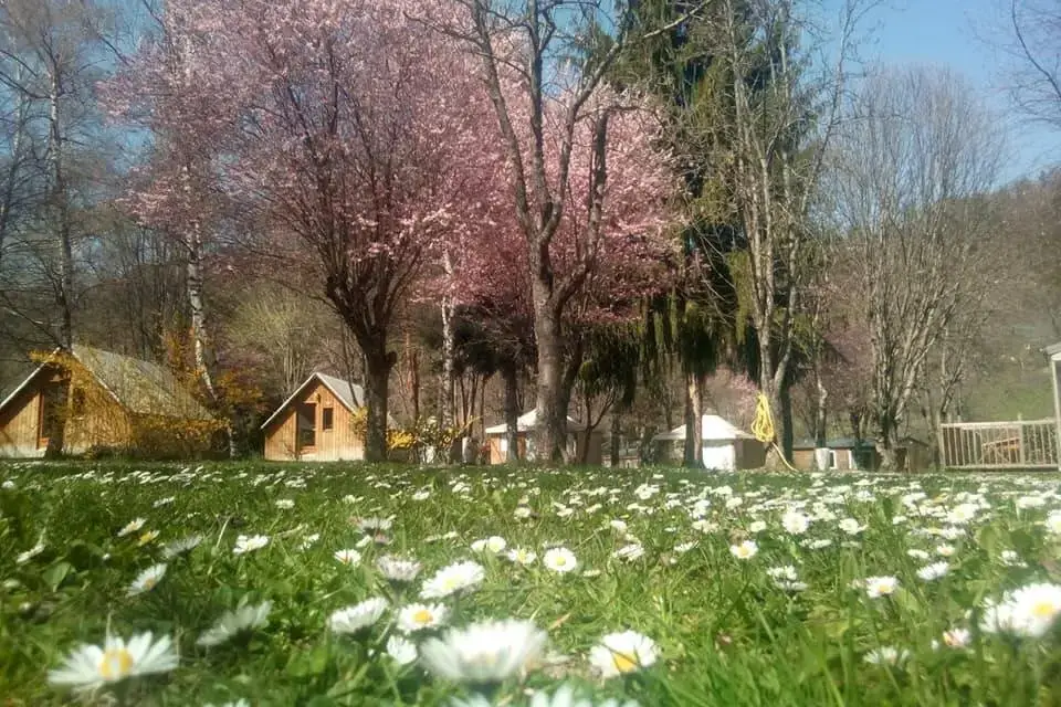 Camping Les Chalets du Lac Belcaire
