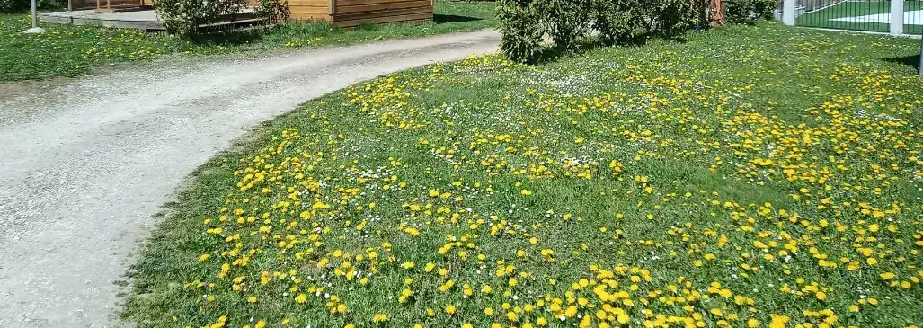 Baita Camping Les Chalets du Lac Belcaire