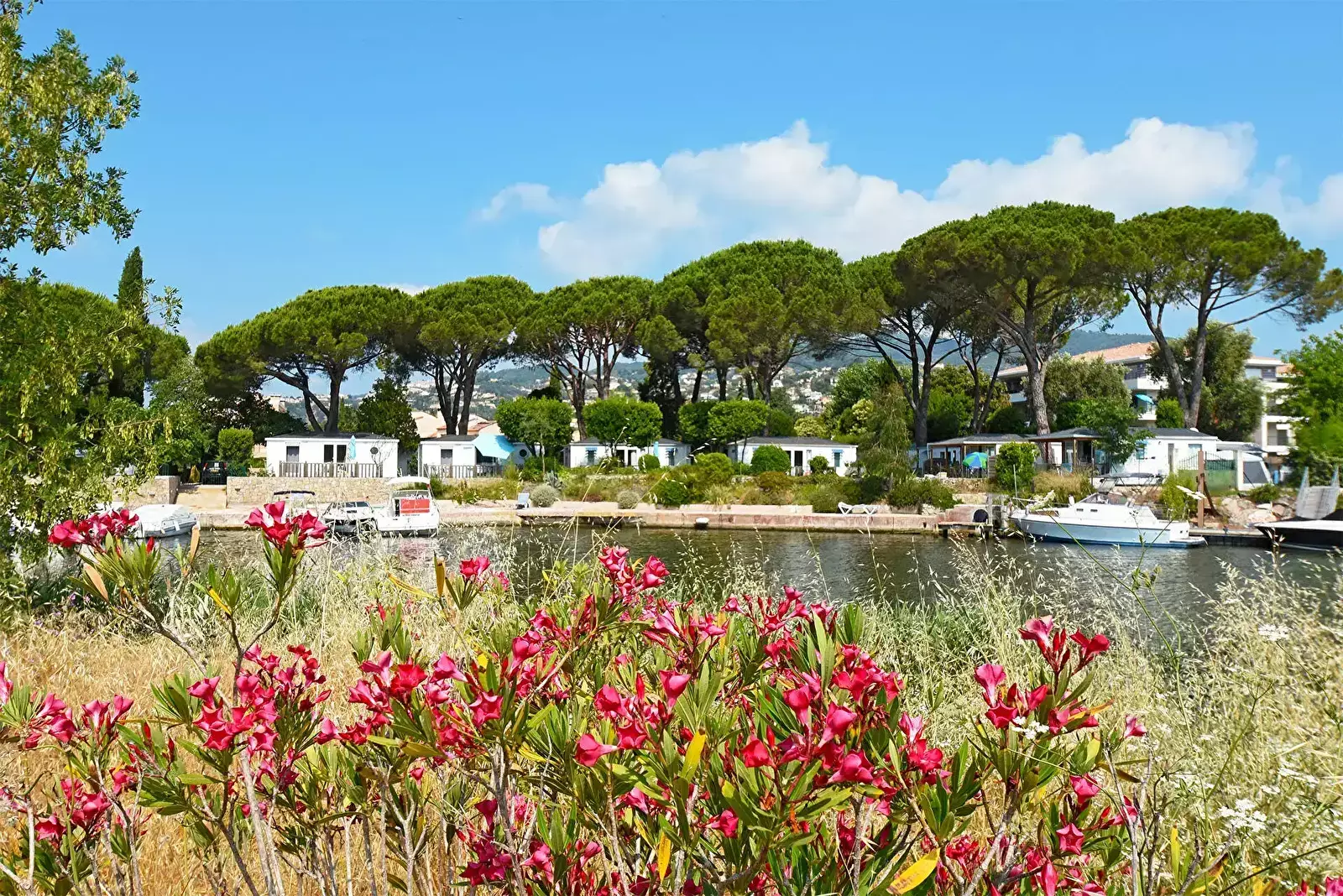 Generale Camping Les Cigales