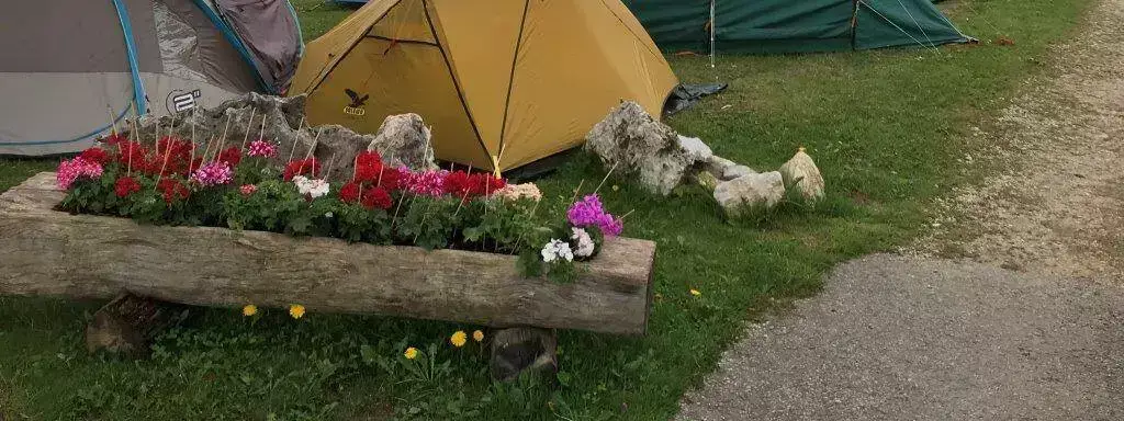 Plads Camping Les Cluds