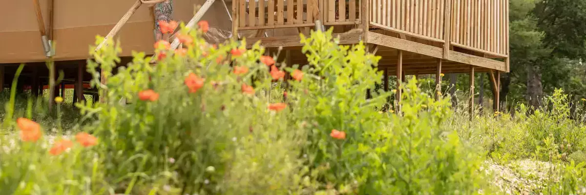 Glamping Camping Les Collines De Castellane - Rcn