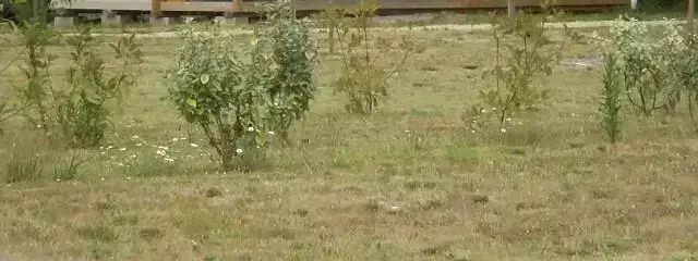 Mobilní dům Camping Les Écureuils - Mimizan