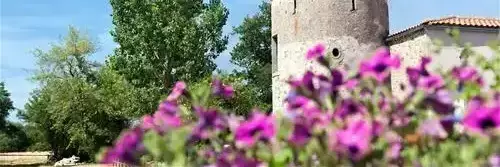 Generel Camping Les Forges - Capfun