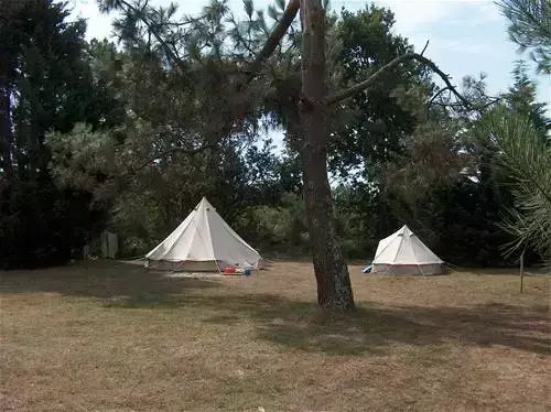 Tent Camping Les Grands Chênes-Les Ajoncs