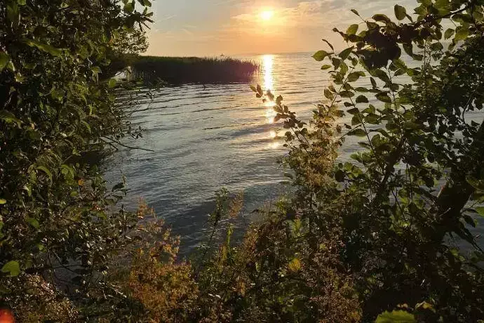 Aussicht Camping Les Pins Grandson