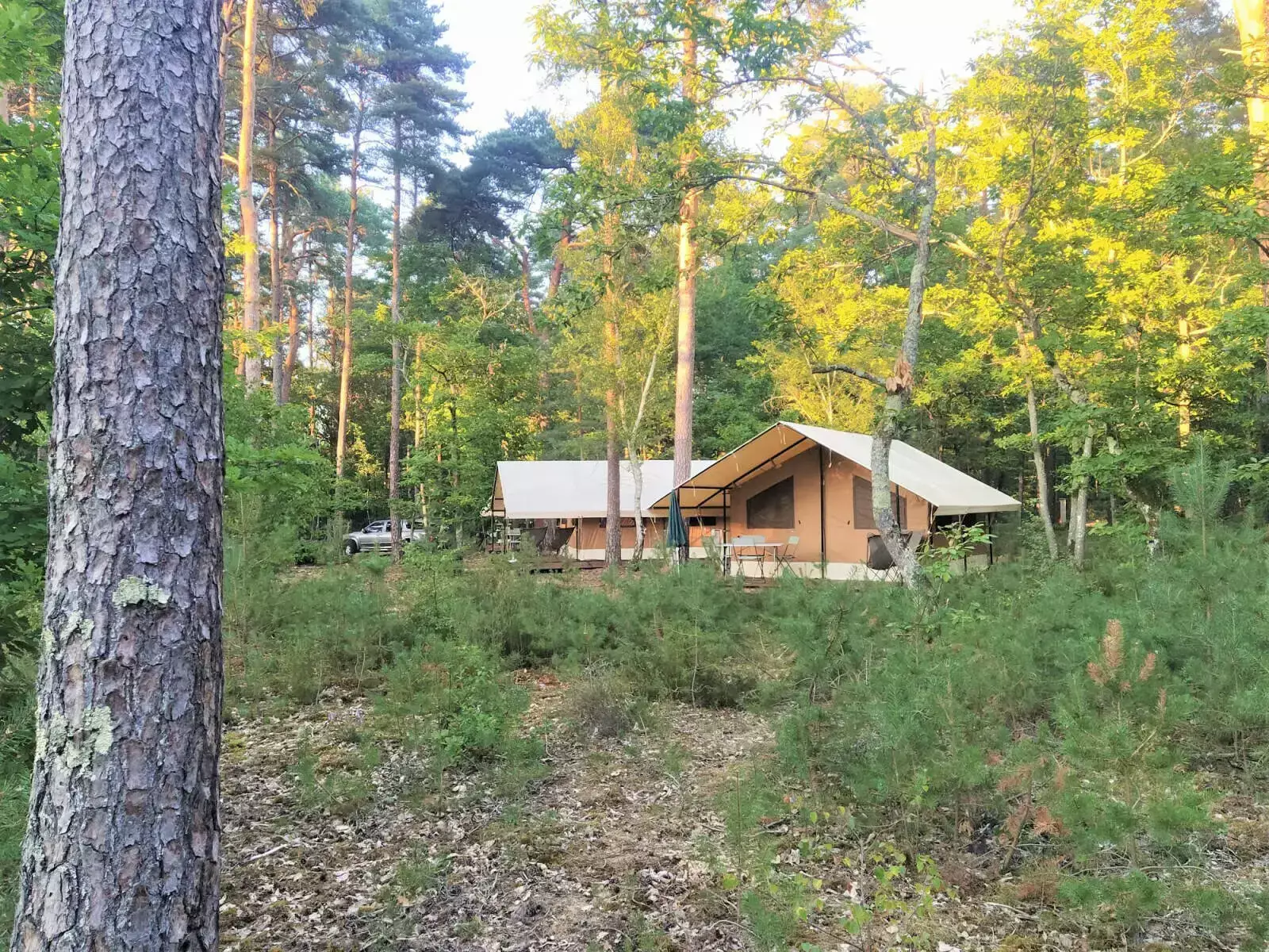 Safari tent Camping Les Pins - Onlycamp