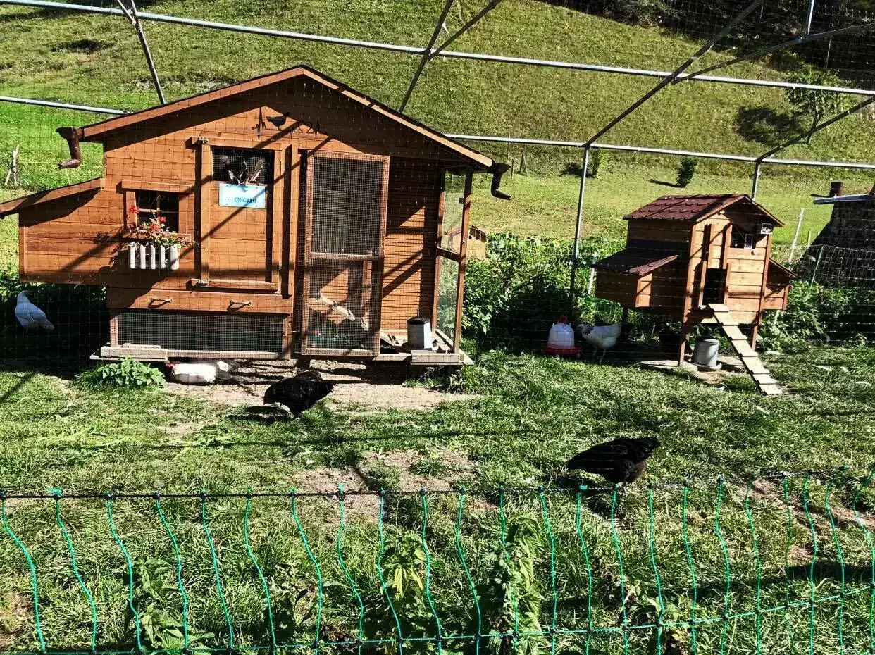 Lage Camping Les Rocailles