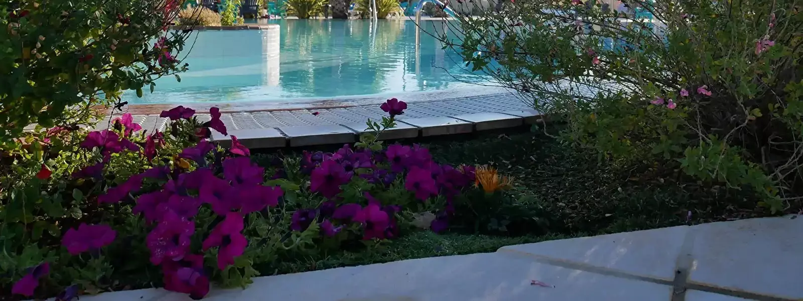 Svømmepøl Camping Les Sables Du Midi - Siblu