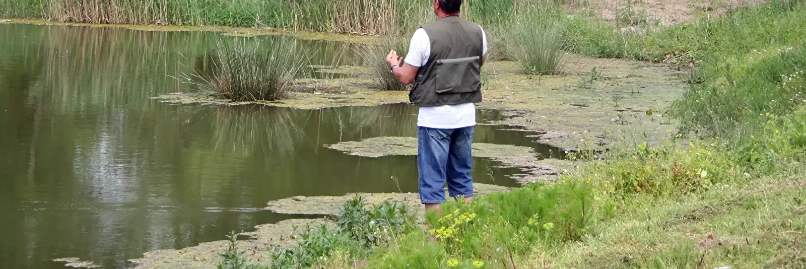 Algemeen Camping Les Sablons