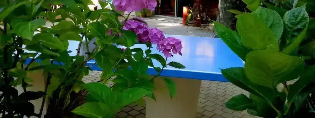 Tafeltennis - Ping pong Camping Les Sources