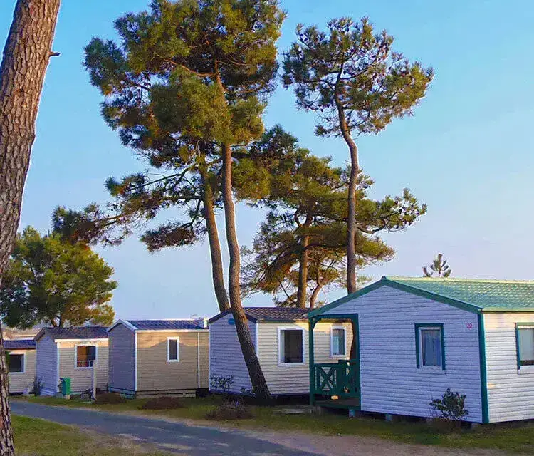 Camping Les Violettes