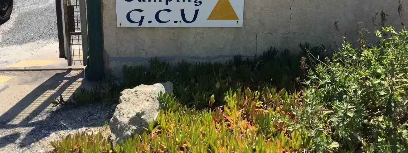 Allgemein Camping Leucate - Gcu