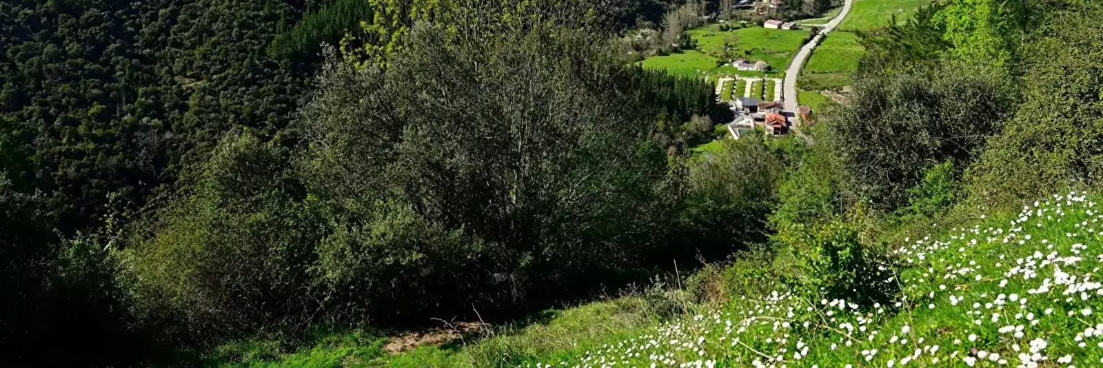 Locatie Camping Liébana