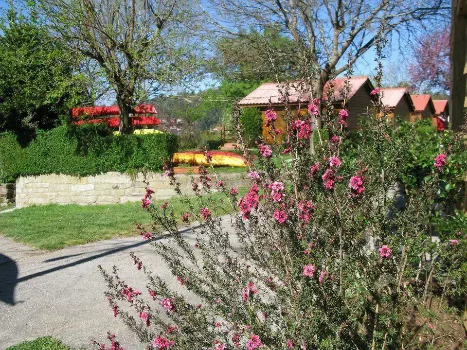 Chalet-Bungalow-Huisje Camping Limens