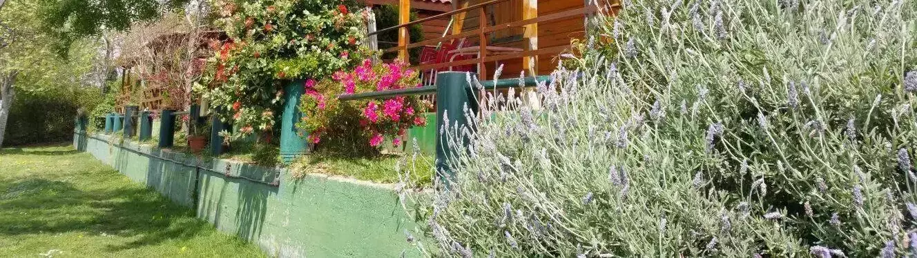 Chalet-Bungalow-Huisje Camping Limens