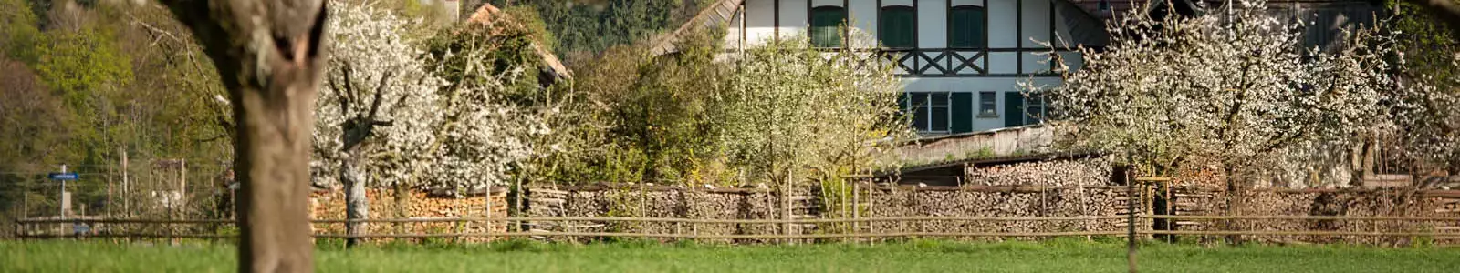 Chalet-Bungalow Camping Lindenhof
