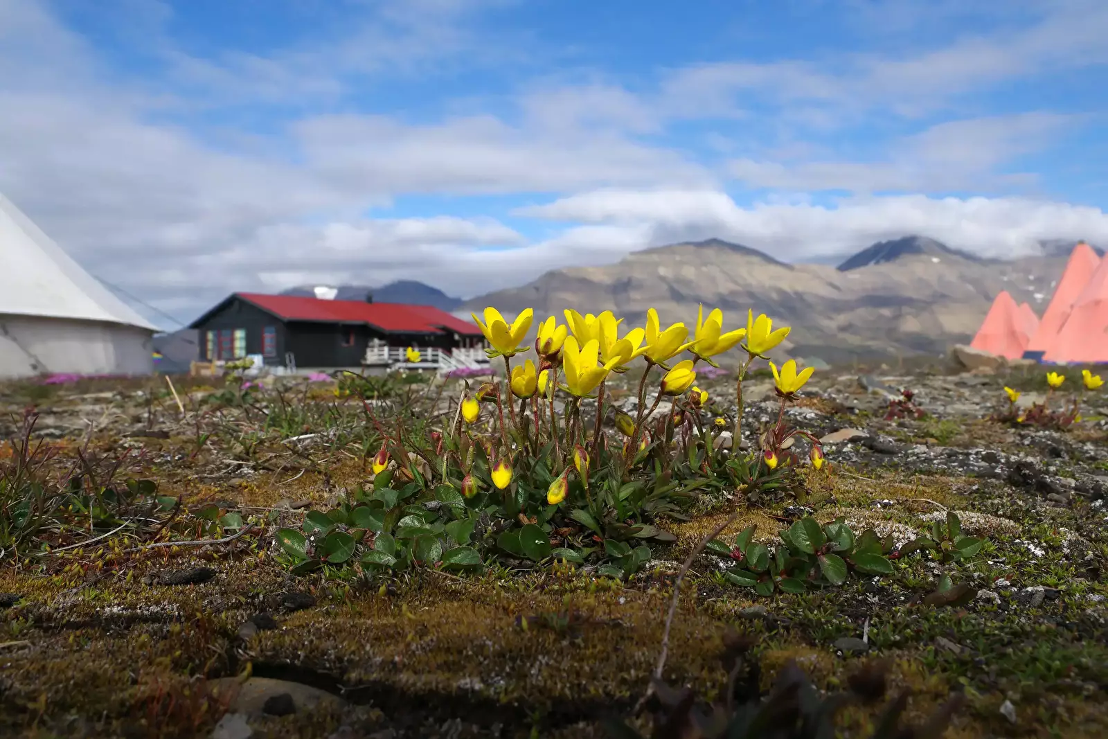 Pohled Camping Longyearbyen