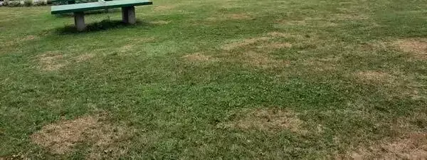 Tennis de table - Le Ping pong Camping l'Orée des Vosges - Onlycamp