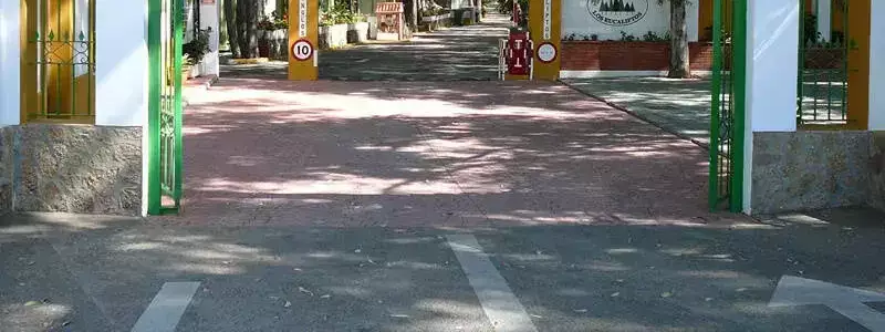 Entrance Camping Los Eucaliptos