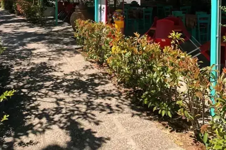 Cafe-Bar-Restaurant Camping Loútsa
