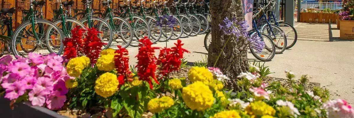 Noleggio biciclette Camping Loyada - Marvilla Parks