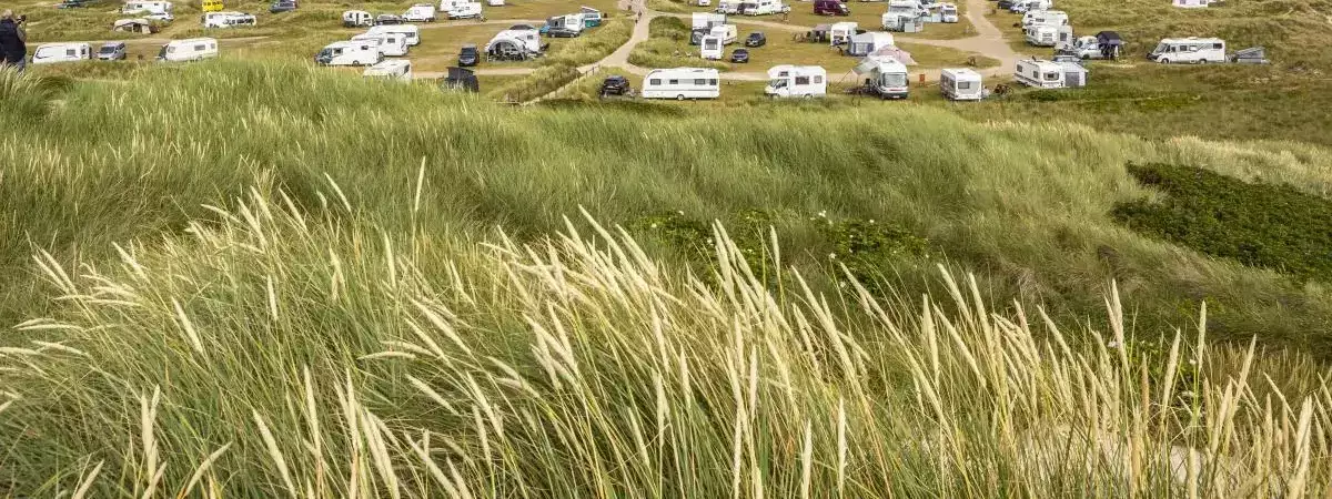 Overview Camping Lyngvig Strand - Dcu