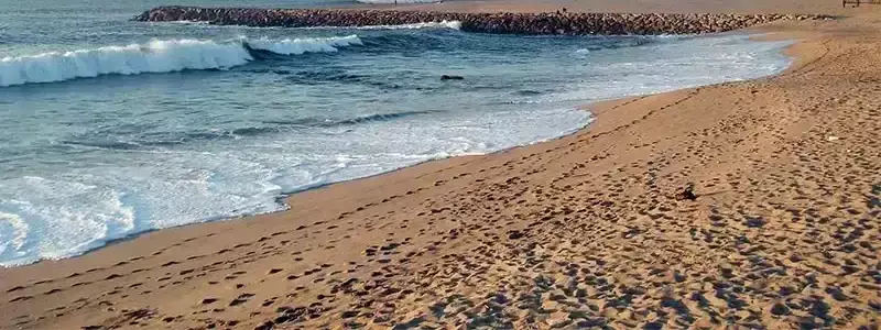 Beach Camping Madalena - Orbitur