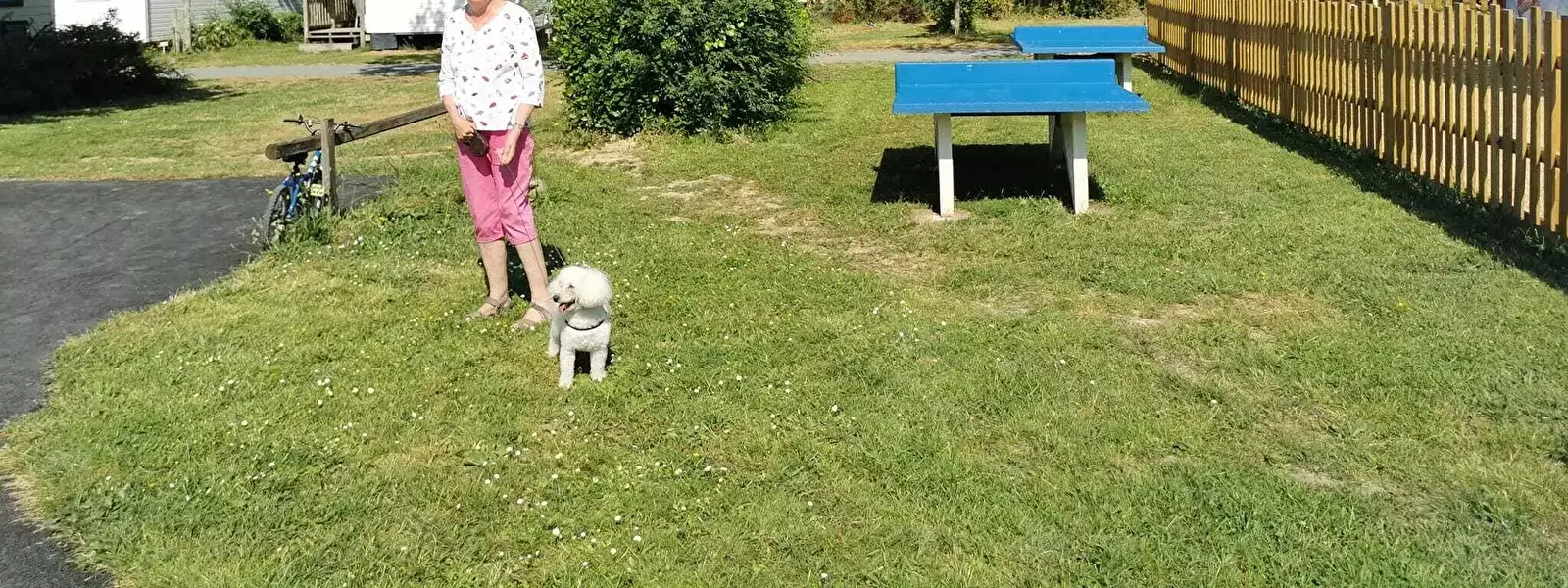 Amico del cane Camping maeva Escapades Le Bois Joli