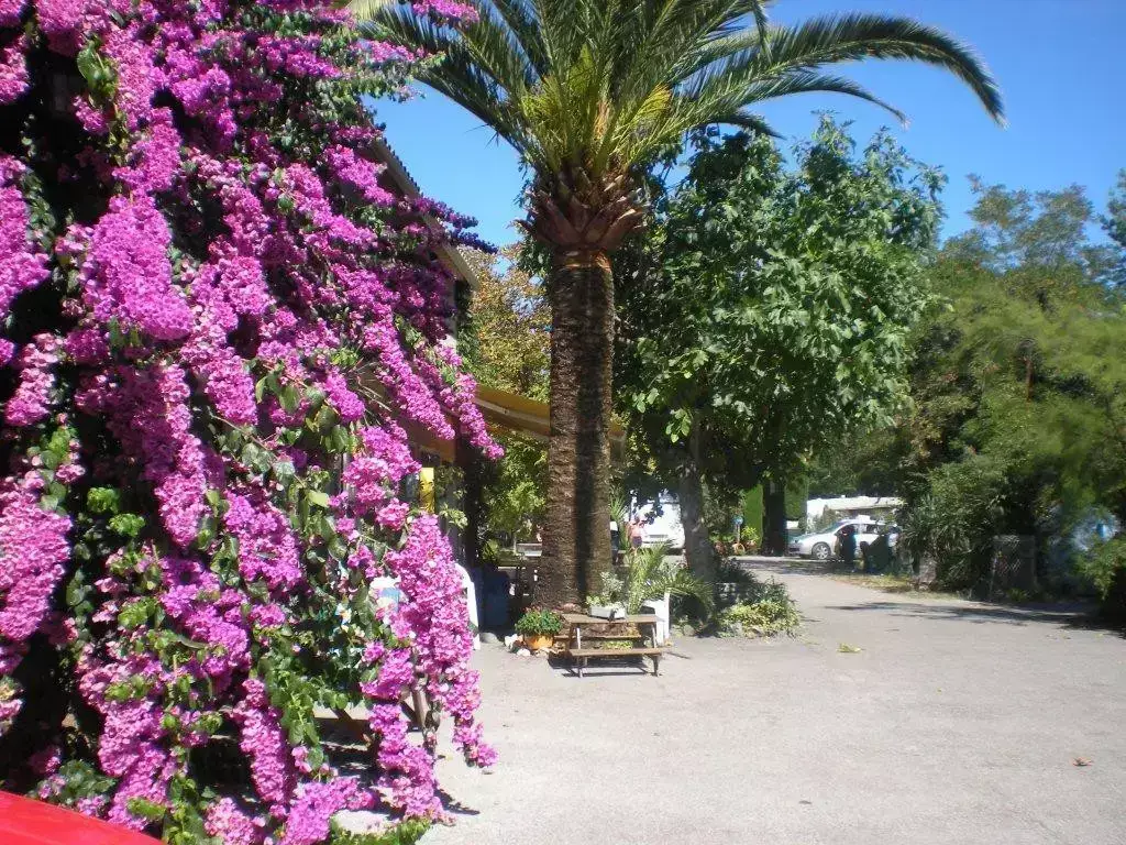 General Camping Magali