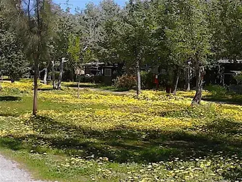 Chalet-Bungalow Camping Malvarrosa De Corinto