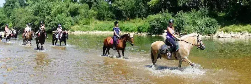 Allgemein Camping Mas Sud Ardeche
