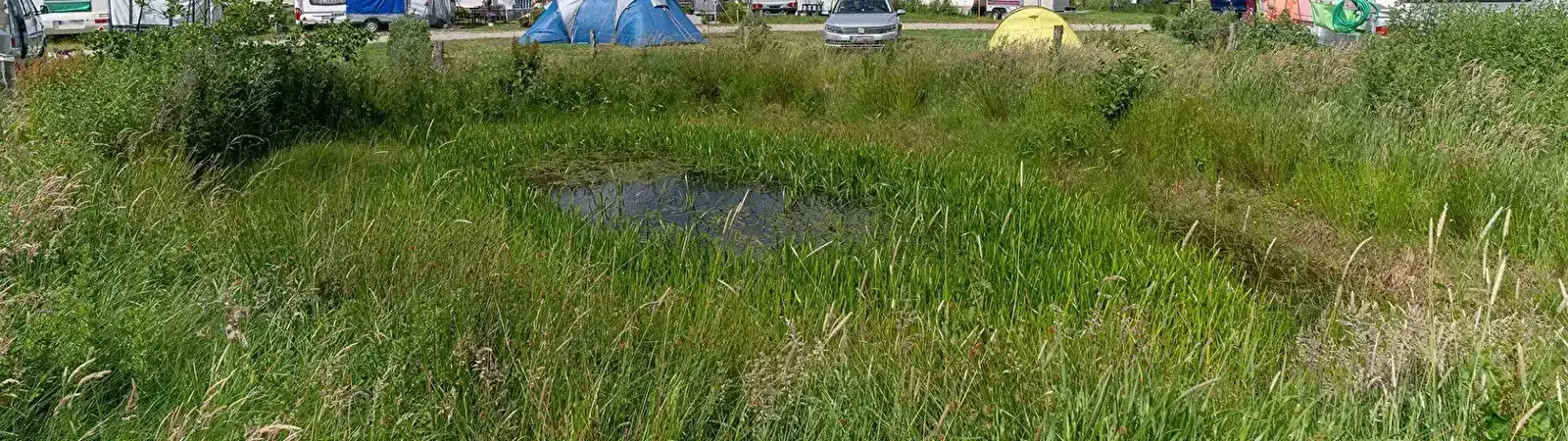 Pohled Camping Meergrün - Westküsten Lodge