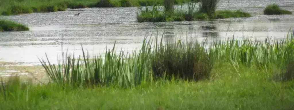 Algemeen Camping Merval