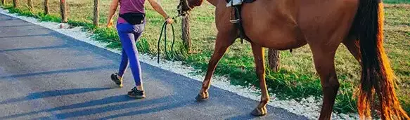 Jízda na ponících nebo koních Camping Mon Perin