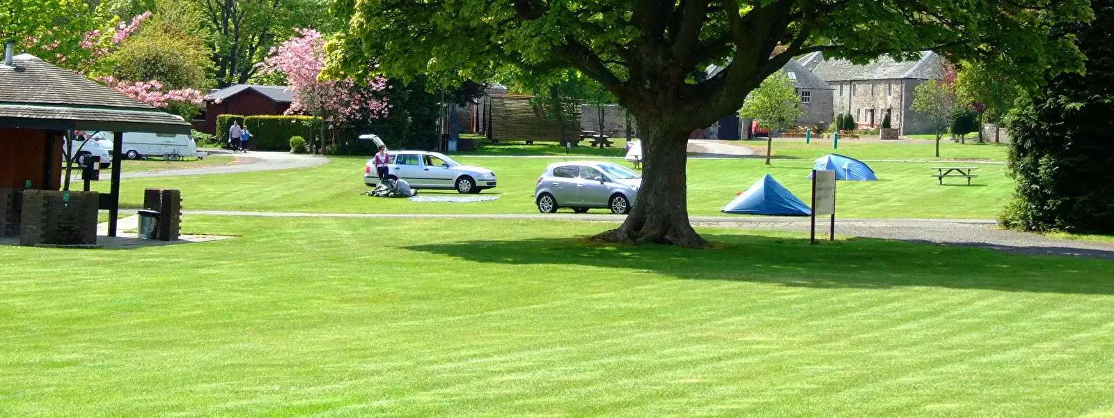 Tent Camping Mortonhall Gate