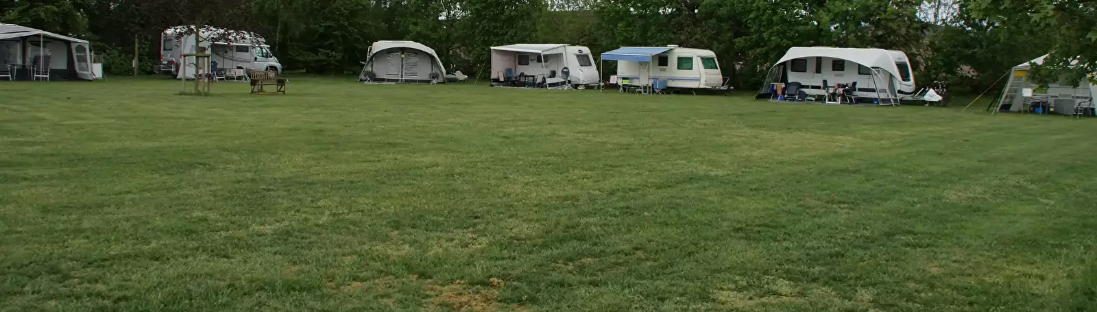 Camping Mountain Oak